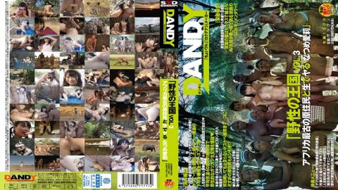 DANDY-462 - Wild Kingdom VOL.3 Africas Oldest Natives And Live Do Natsume Airi - Dandy